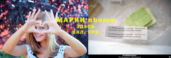 гидра Надым