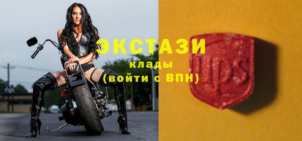 гидра Надым