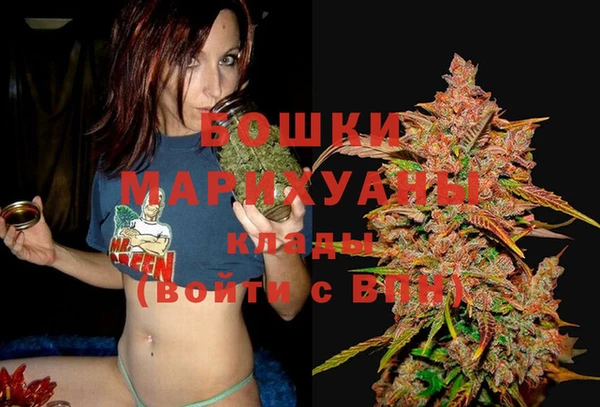 гидра Надым
