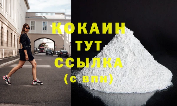 гидра Надым