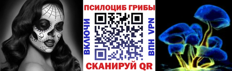 Купить  Покров  Галлюциногенные грибы GOLDEN TEACHER 